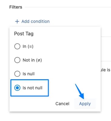 Is not null Filter