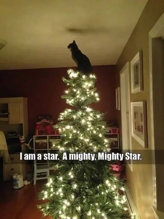 mighty-star-meme