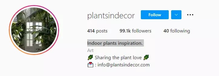 Plants-in-Decor