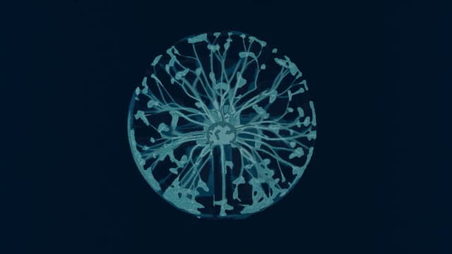 sprinklr-alternatives